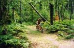 Photo: Thunder Bay Trails Association