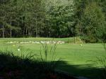 huron_breeze_golf.jpg