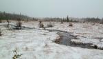 meander_through_whitefish_bay.jpg