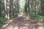 Reid Lake Foot Travel Area