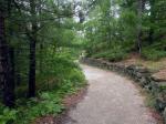 Forest Discovery Trail