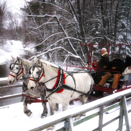 Elk-viewing sleigh ride