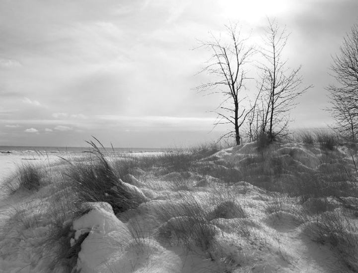 Tawas Point in Winter